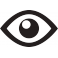 icon eye