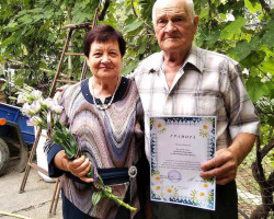 IMG 29dbb8b1738a75a3aca74cfa1674cdf5 V