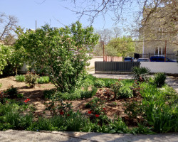 img_20250424_104858_466928120850