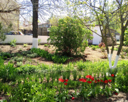 img_20250424_104913_5091083060572-1