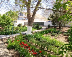 img_20250424_104925_664-1673700877